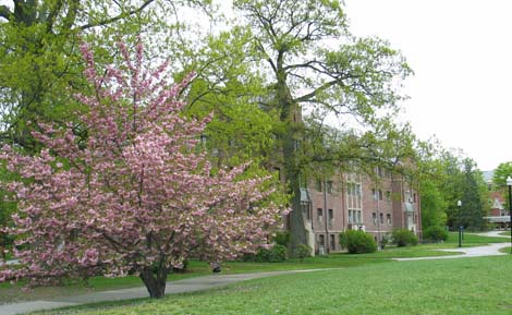 William H Hall Building
